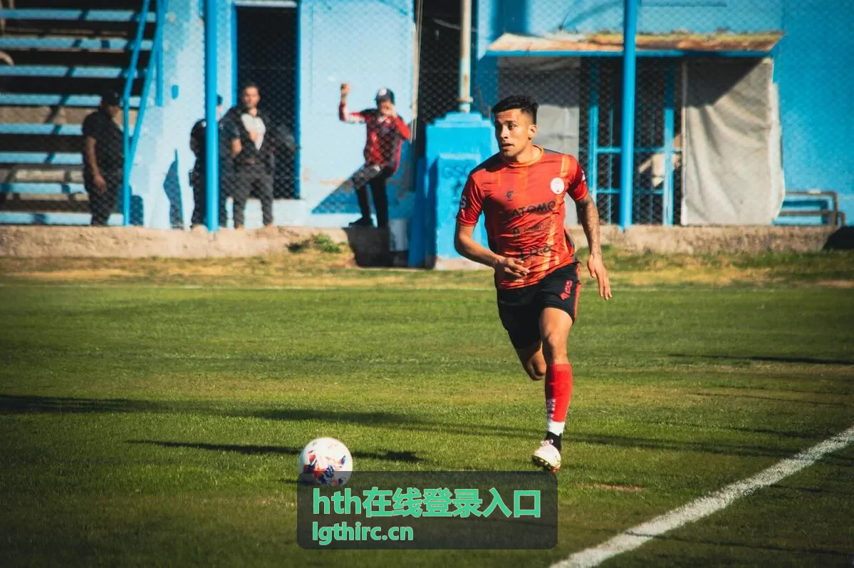 hth在线登录入口地址核对界面